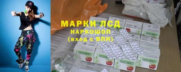 spice Гусев
