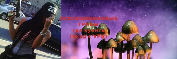гидра Гусь-Хрустальный