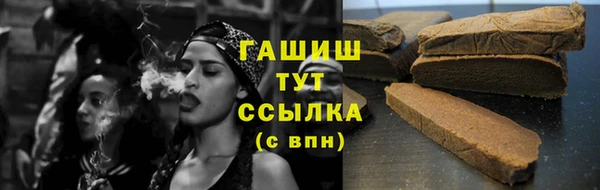 гидра Гусь-Хрустальный