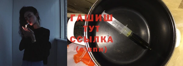 spice Гусев