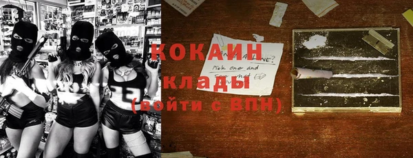 гидра Гусь-Хрустальный