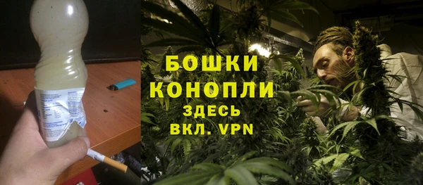 гидра Гусь-Хрустальный
