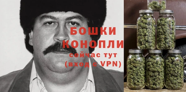 гидра Гусь-Хрустальный