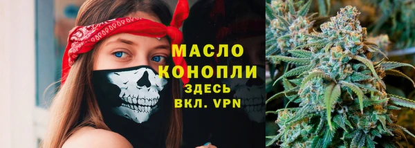 spice Гусев