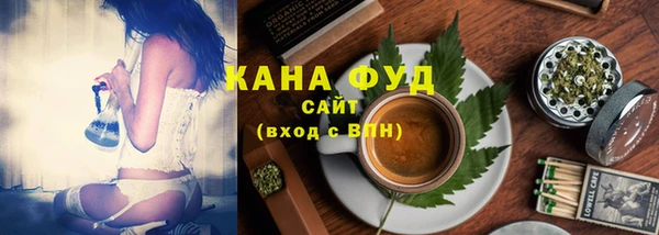 spice Гусев
