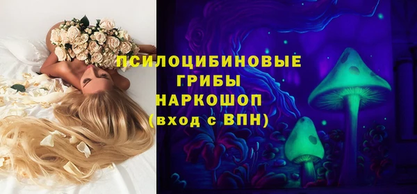 гидра Гусь-Хрустальный